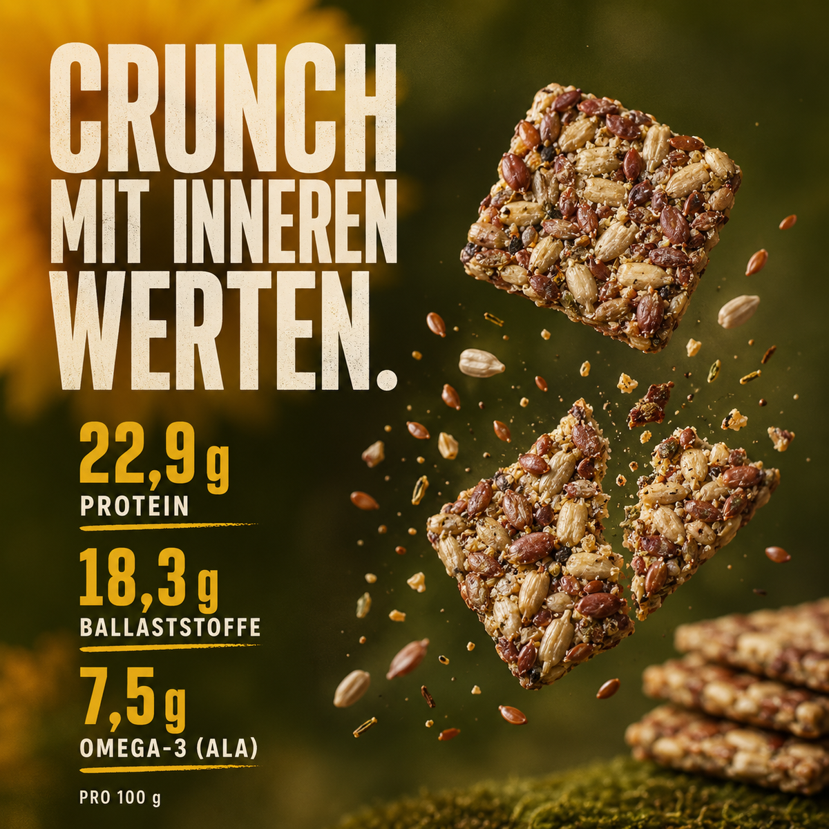 Sonnenblumenkerne & Kreuzkümmel